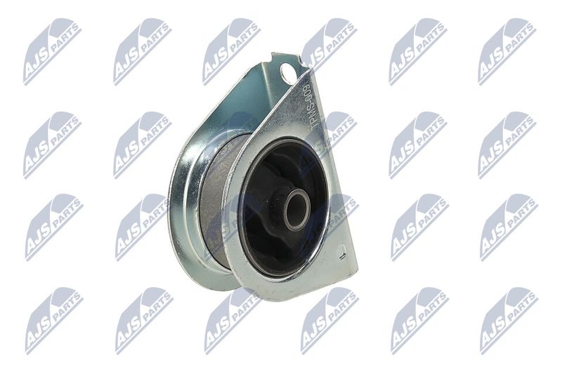 Paigutus, Mootor, NTY ZPS-MS-009