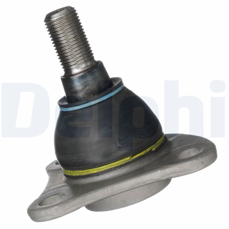 TC7168.JPG