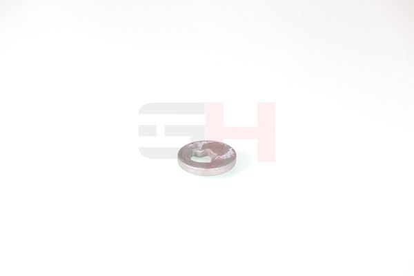 caster shim, sillatala, GH GH-391582