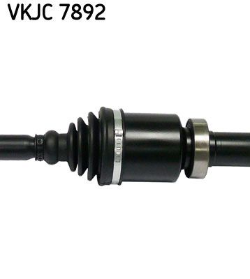 VKJC 7892_3.JPG