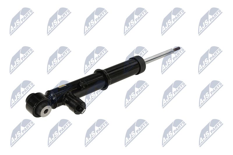 Amort, NTY A-LR-035