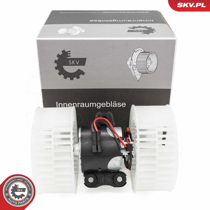 Salongipuhur, ESEN SKV...