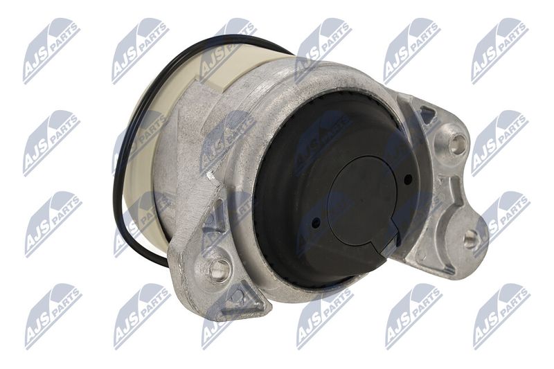 Paigutus, Mootor, NTY ZPS-ME-021