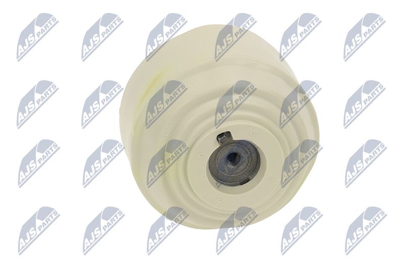 Paigutus, Mootor, NTY ZPS-ME-100