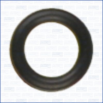 O-ring vacumpumpe