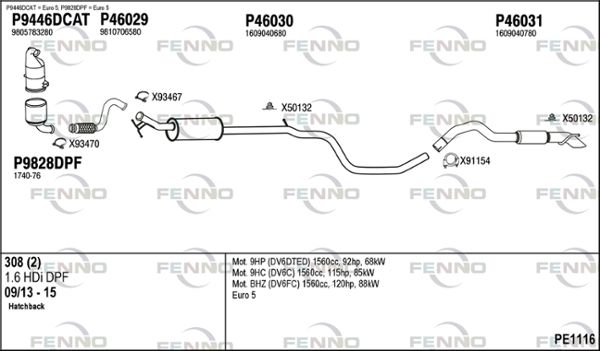PE1116.JPG