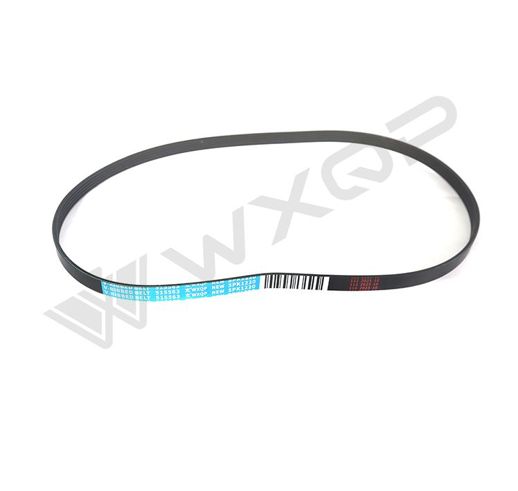 WXQP 515563 V-ribbed Belt