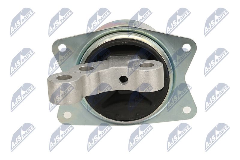 Paigutus, Mootor, NTY ZPS-PL-049