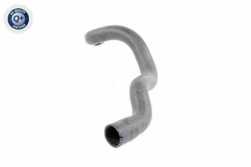 VAICO V30-1663 Radiator Hose