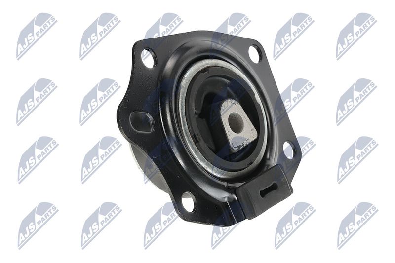 Paigutus, Mootor, NTY ZPS-CH-014