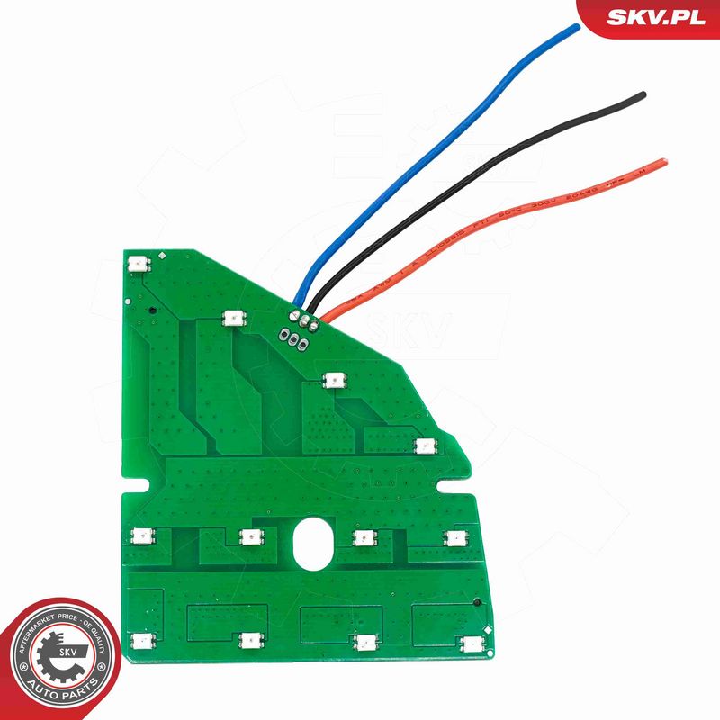 ESEN SKV 59SKV296 Control Unit, lights