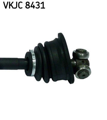 VKJC 8431_3.JPG