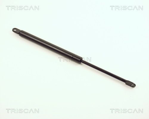 TRIS8710353.JPG