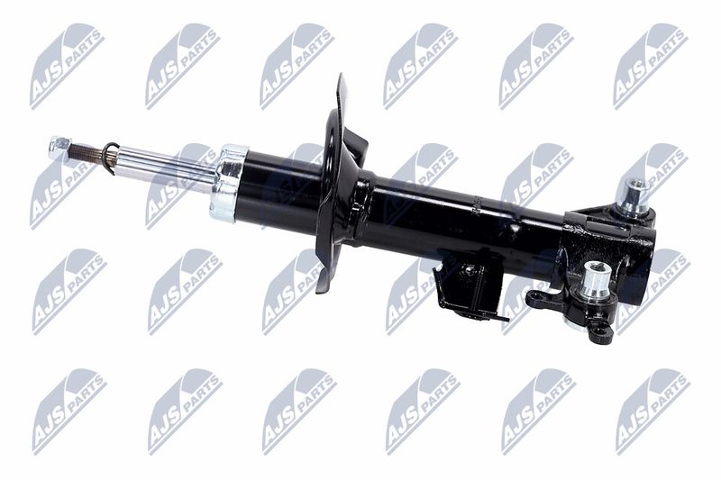 Amort, NTY A-NS-015