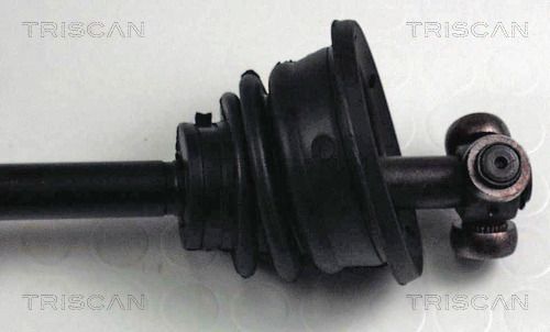 854025516_3.JPG