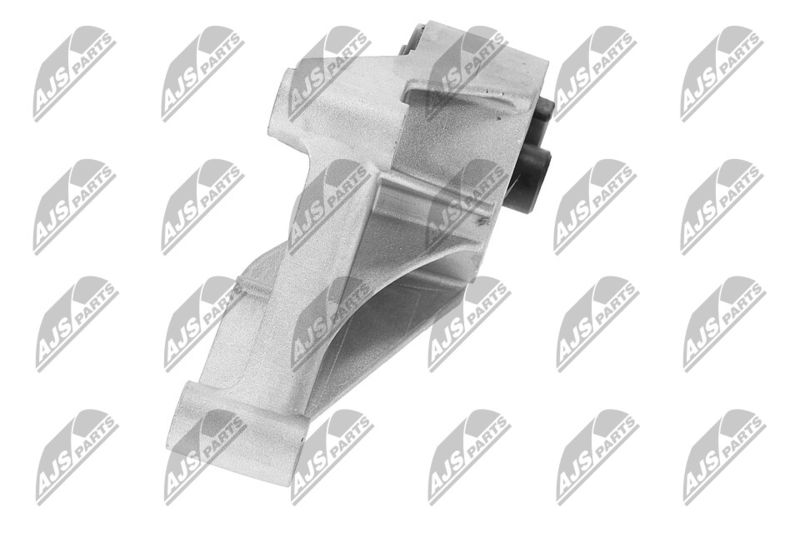 Paigutus, Mootor, NTY ZPS-PL-069