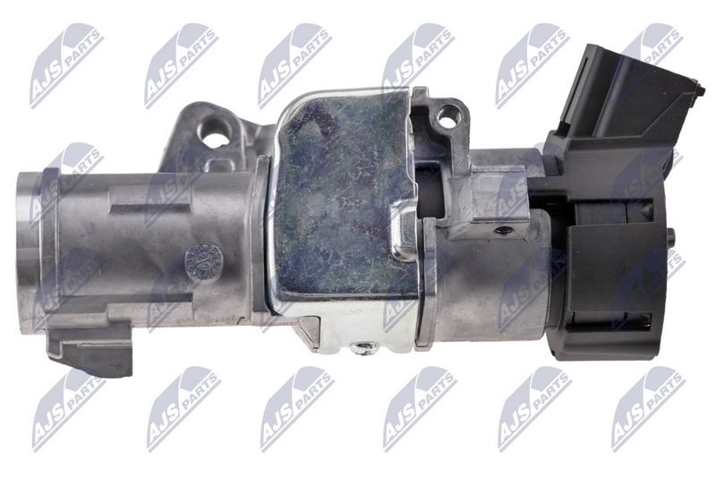 est-vw-018_5-wm.JPG