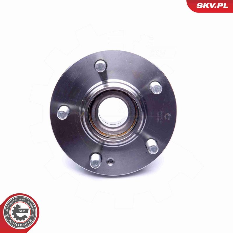 ESEN SKV 29SKV203 Rato guolio komplektas