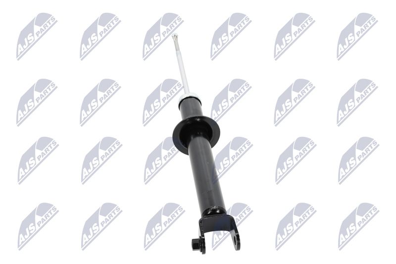 Amort, NTY A-CH-055