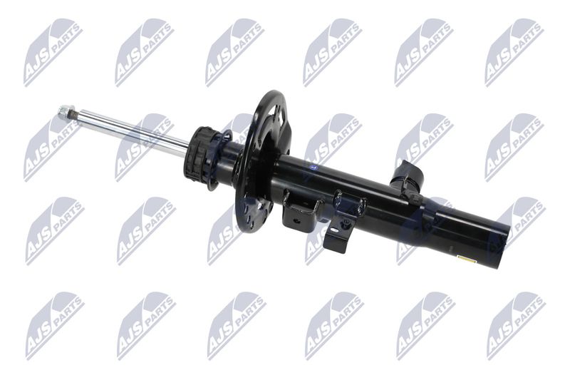 Amort, NTY A-BM-059