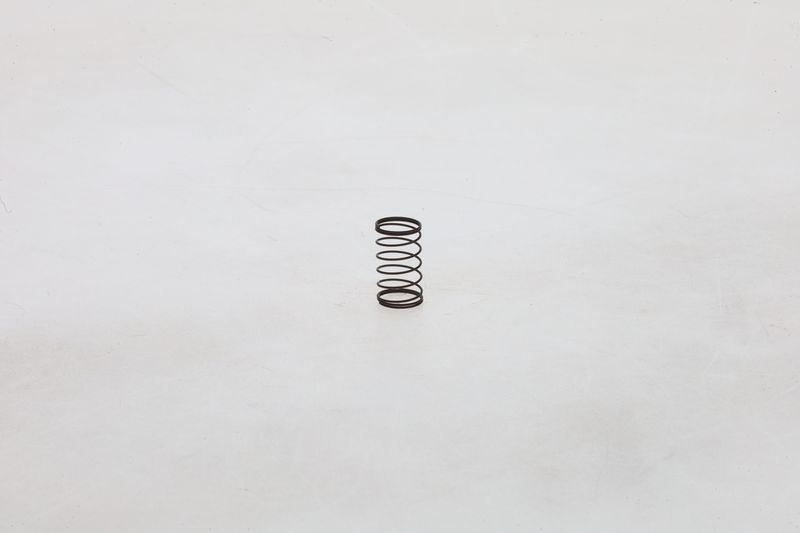 BOSCH 1464610486 Spring