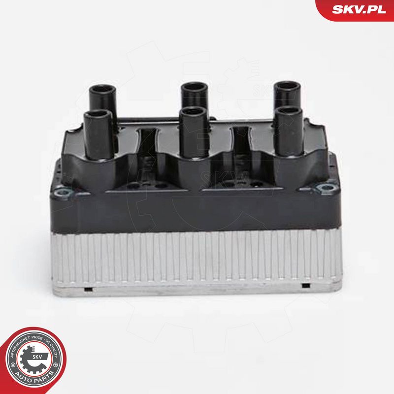 ESEN SKV 03SKV160 Ignition Coil