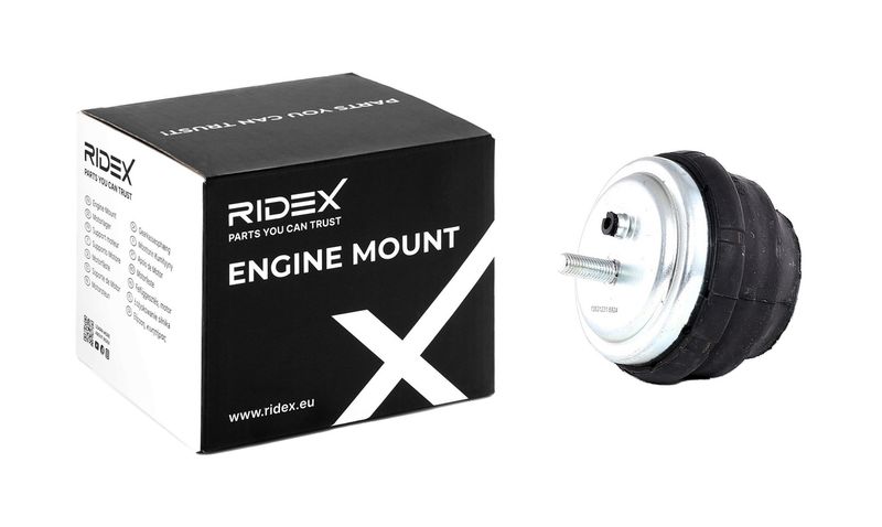 окачване, двигател RIDEX