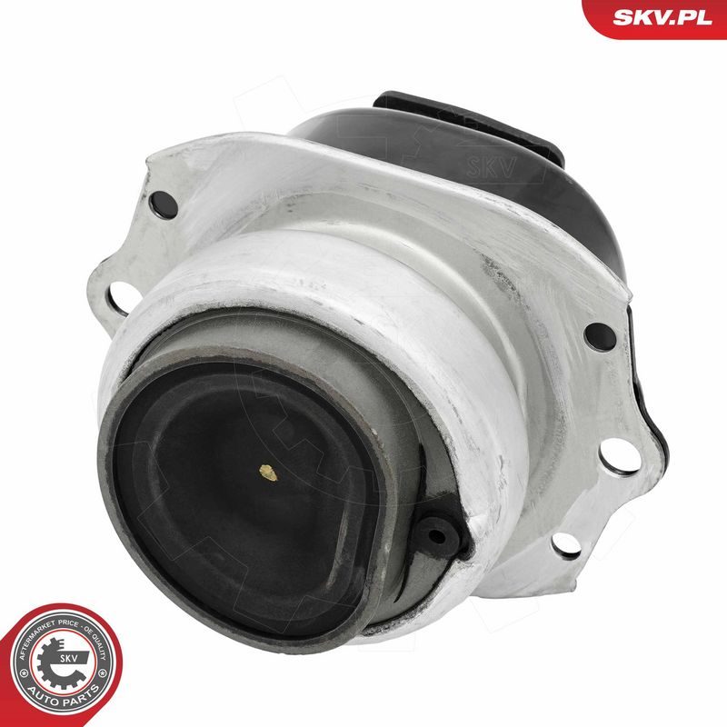 Paigutus, Mootor, ESEN SKV 75SKV254