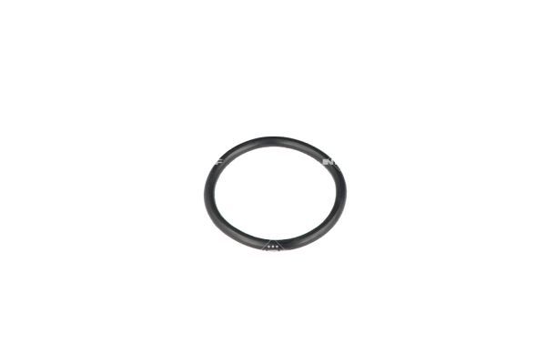 NRF 725238 Thermostat, coolant