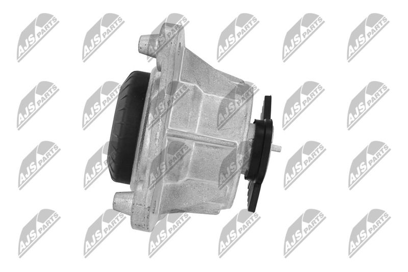 Paigutus, Mootor, NTY ZPS-ME-066