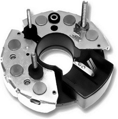 DDF_AMP1541_WR.JPG