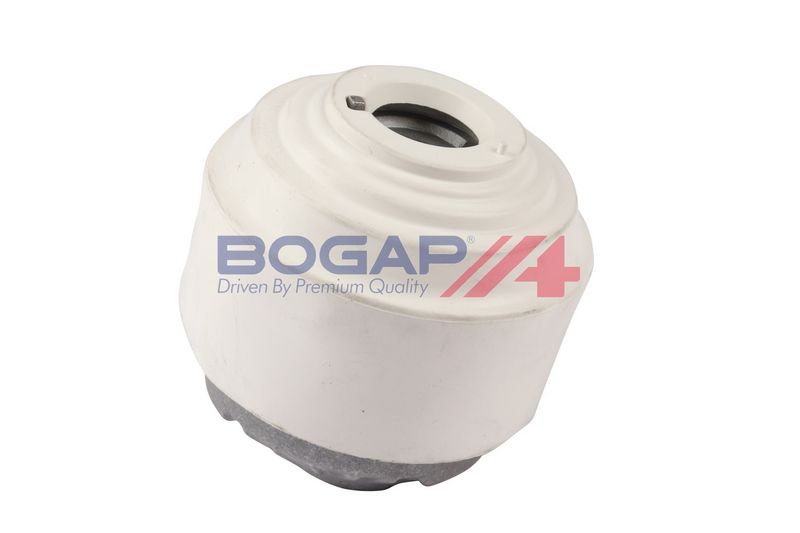 BOGAP Variklio montavimas