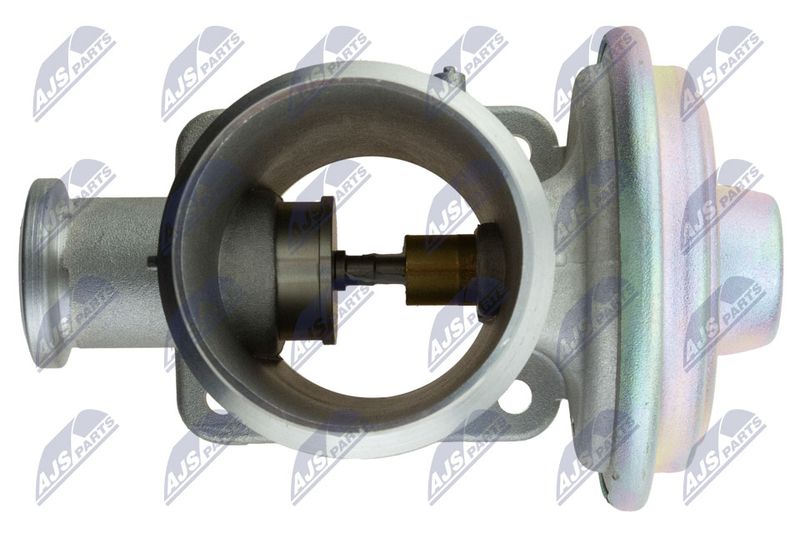 NTY EGR-BM-007 EGR Valve