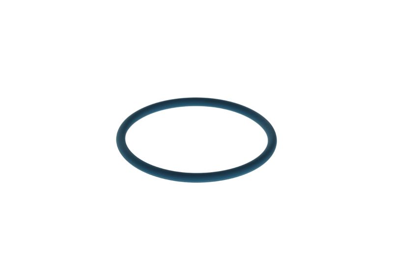 Inel cauciuc F 00N 204 108 BOSCH