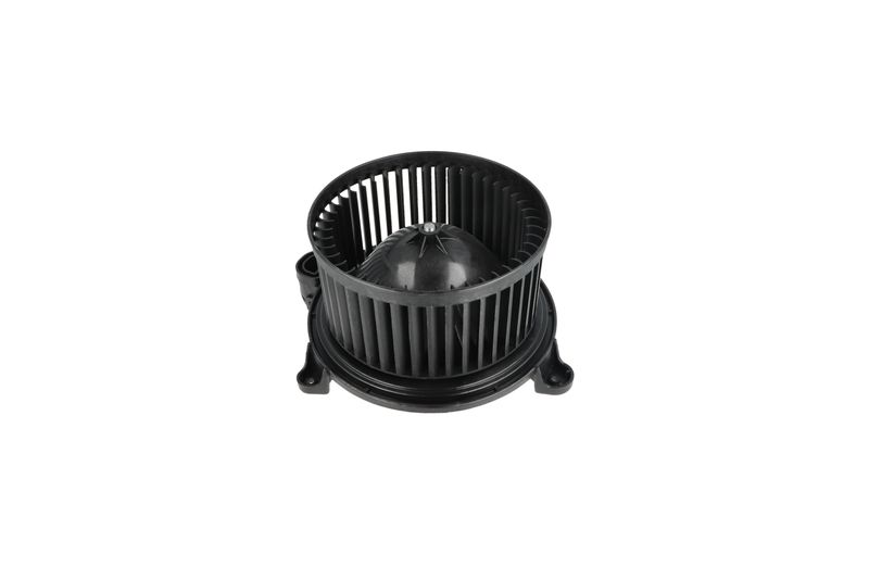 Salongipuhur, NRF 34365