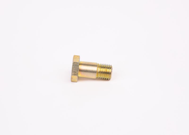 Surub F 002 D13 579 BOSCH
