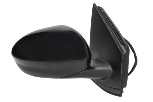 BLIC 5402-67-2460360P Exterior Mirror