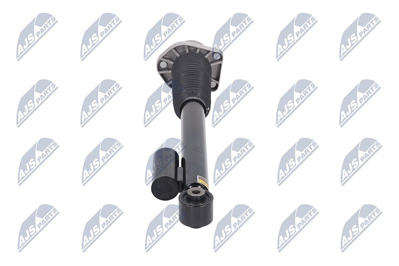 Amort, NTY A-LR-020