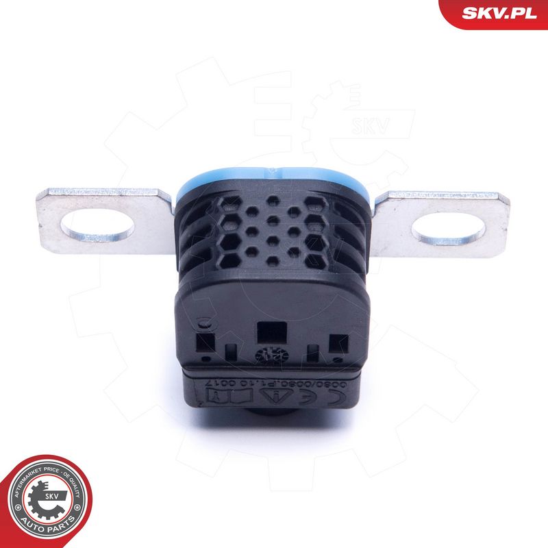 Ülepinge kaitseseade, generaator, ESEN SKV 96SKV317