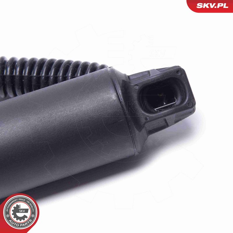 ESEN SKV 52SKV959 Electric Motor, tailgate