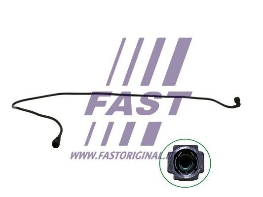 FT61068_1_1.JPG