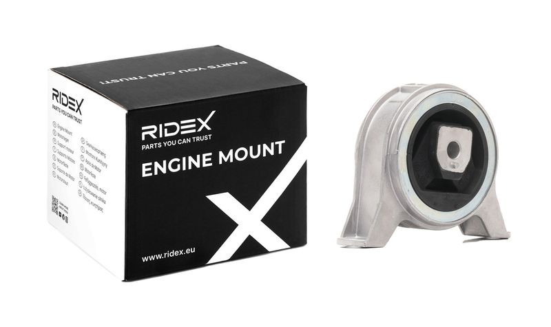 окачване, двигател RIDEX