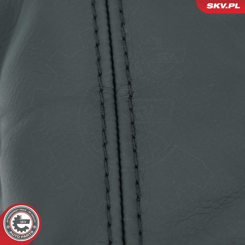 Käigukanginupp, ESEN SKV 63SKV479