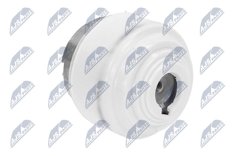 Paigutus, Mootor, NTY ZPS-ME-099