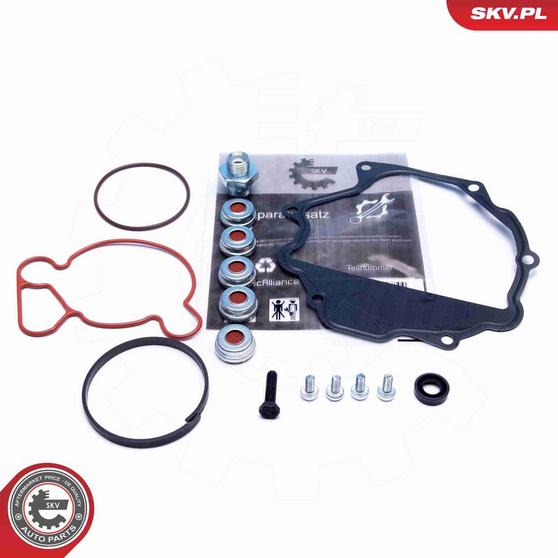 ESEN SKV 18SKV809 - Repair Set, vacuum pump (braking system)