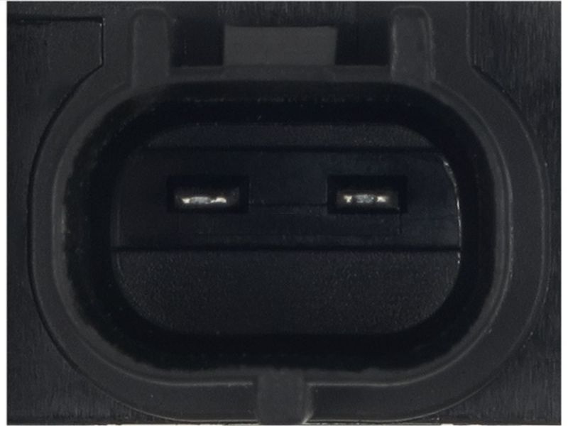 401466.JPG