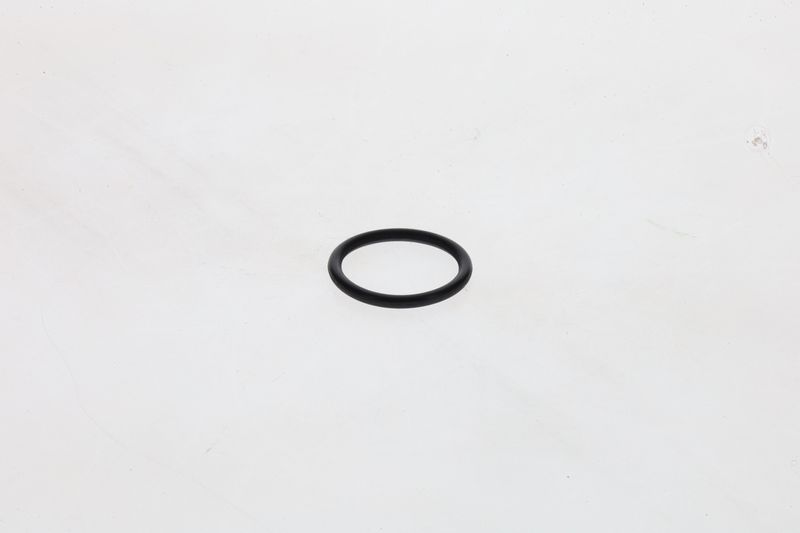 BOSCH 1 460 210 306 Rubber Ring