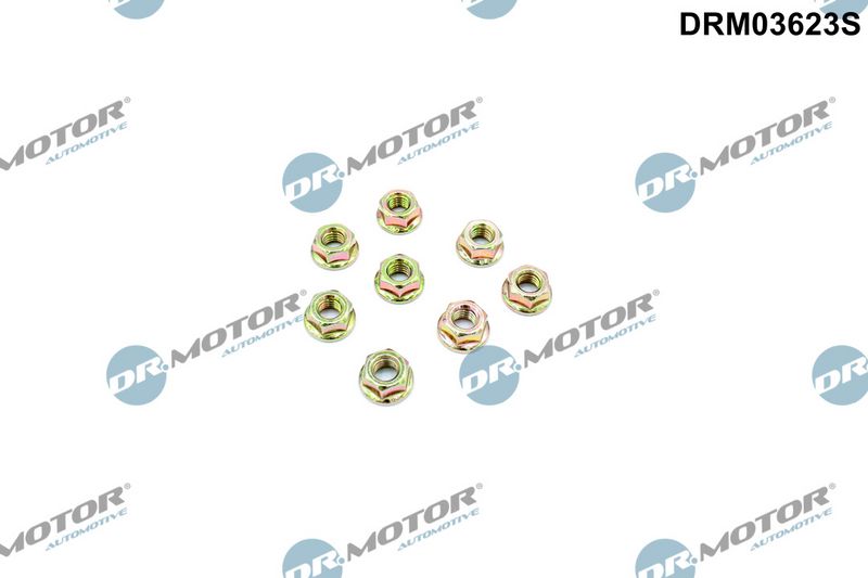 Dr.Motor Automotive Veržlė
