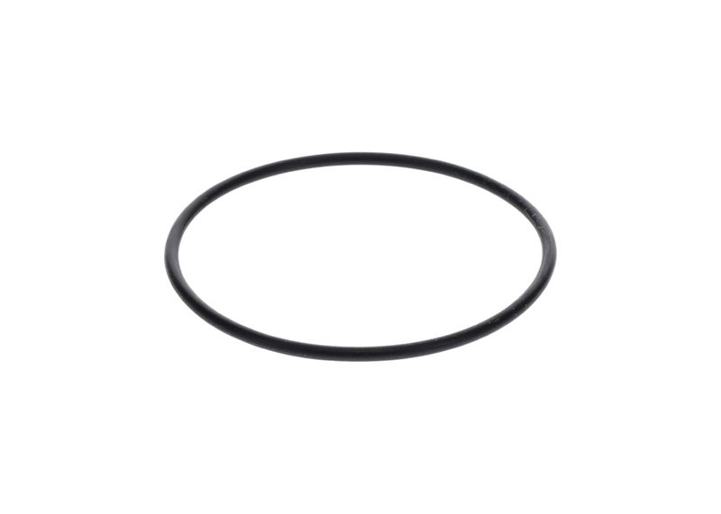 Inel de etansare 1 900 210 154 BOSCH