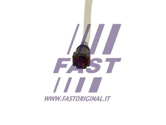 FT39539_2_1.JPG